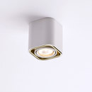 Wever & Ducré Docus Ceiling I white structured mat champagne Lampade a soffitto