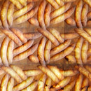 Lithos Design Antares