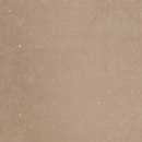 ASANDERUS TEXTILE WALLCOVERINGS Vegas 412015 Smoked Topaz Wandbeläge / Tapeten