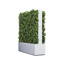 art aqua Grüne Wand® mobil Dual 124 Pflanzenwände / Grüne Wände Raumtrennung