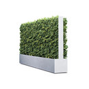art aqua PARETE VERDE® mobil Pareti vegetali / verdi Separazione ambienti