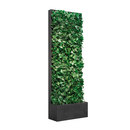 art aqua Grüne Wand® mobil 84 Compartimentación Paredes verdes / Jardines verticales