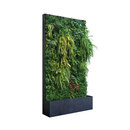 art aqua Grüne Wand® mobil 124 Compartimentación Paredes verdes / Jardines verticales