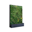 art aqua Grüne Wand® mobil 164 Compartimentación Paredes verdes / Jardines verticales