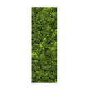 art aqua Moosbild Bar 40x160 cm Accesorios de hogar / oficina Cuadros / Murales Paredes verdes / Jardines verticales