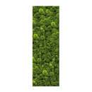 art aqua Moosbild Bar 60x200 cm Accesorios de hogar / oficina Cuadros / Murales Paredes verdes / Jardines verticales