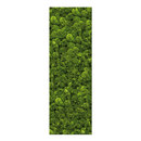 art aqua Moosbild Bar 80x240 cm Accesorios de hogar / oficina Cuadros / Murales Paredes verdes / Jardines verticales