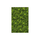 art aqua Moosbild Rectangle 80x120 cm Accesorios de hogar / oficina Cuadros / Murales Paredes verdes / Jardines verticales