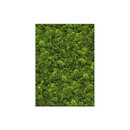 art aqua Moosbild Rectangle 100x140 cm Accesorios de hogar / oficina Cuadros / Murales Paredes verdes / Jardines verticales