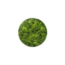 art aqua Moosbild Round ø 60 cm Accesorios de hogar / oficina Cuadros / Murales Paredes verdes / Jardines verticales