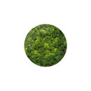 art aqua Moosbild Round ø 80 cm Living-room / Office complements Plant walls / Green walls Wall art / Murals