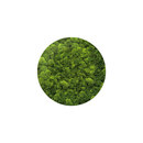 art aqua Moosbild Round ø 100 cm Accesorios de hogar / oficina Cuadros / Murales Paredes verdes / Jardines verticales