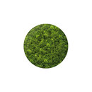art aqua Moosbild Round ø 120 cm Accesorios de hogar / oficina Cuadros / Murales Paredes verdes / Jardines verticales
