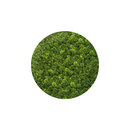 art aqua Moosbild Round ø 140 cm Accesorios de hogar / oficina Cuadros / Murales Paredes verdes / Jardines verticales