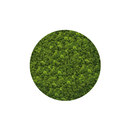 art aqua Moosbild Round ø 220 cm Accesorios de hogar / oficina Cuadros / Murales Paredes verdes / Jardines verticales