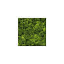art aqua Moosbild Square 60x60 cm Accesorios de hogar / oficina Cuadros / Murales Paredes verdes / Jardines verticales