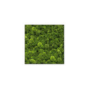 art aqua Moosbild Square 80x80 cm Accesorios de hogar / oficina Cuadros / Murales Paredes verdes / Jardines verticales