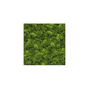 art aqua Moosbild Square 100x100 cm Accesorios de hogar / oficina Cuadros / Murales Paredes verdes / Jardines verticales