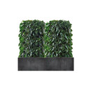 art aqua Heckenelement Sanseveria niedrig 120-140 cm Raumtrennung