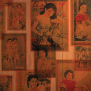 B+N Industries Chinoiserie Pannelli per pareti