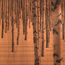 B+N Industries Nature Paneles murales