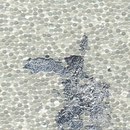 Maya Romanoff Corp. Beadazzled Leaf™ Bianca Silver Leaf Carta da parati