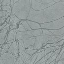 Maya Romanoff Corp. PolyHide Lightning™ Silver Flash Carta da parati Tessuti decorativi Tessuti di rivestimento