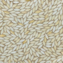 Artistic Tile Foliage Coltrane Cream Glass Mosaic Mosaici per pareti