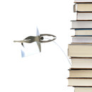 Opinion Ciatti Decor Volant nella lettura