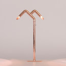 Aqua Creations Rose Li | Standing On One Leg and Trust Special lights Table lights