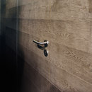 Itlas 5 Millimetres | D07 Wall panels Wood / Wood fibres