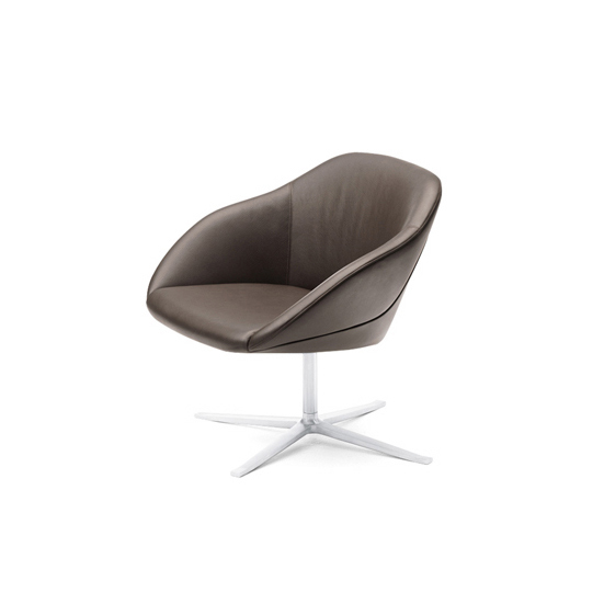 Turtle Lounge Walter Knoll