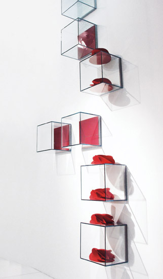 Glassbox EmmeBi