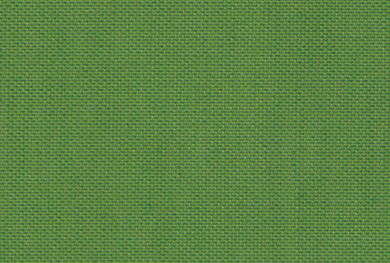 Olivin 5537 Svensson Markspelle