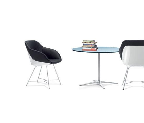 Turtle bucket seat Walter Knoll