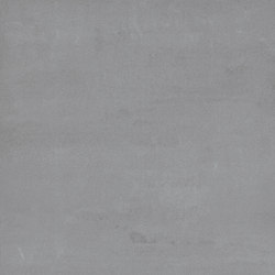 Greys