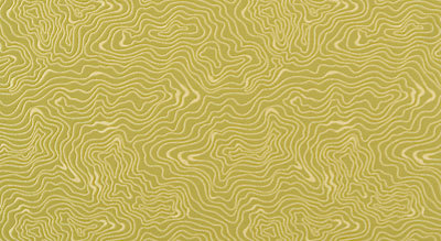 Hazel upholstery fabric Architex International