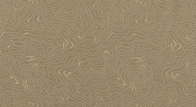 Hazel upholstery fabric Architex International