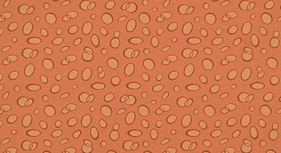Mabel upholstery fabric Architex International