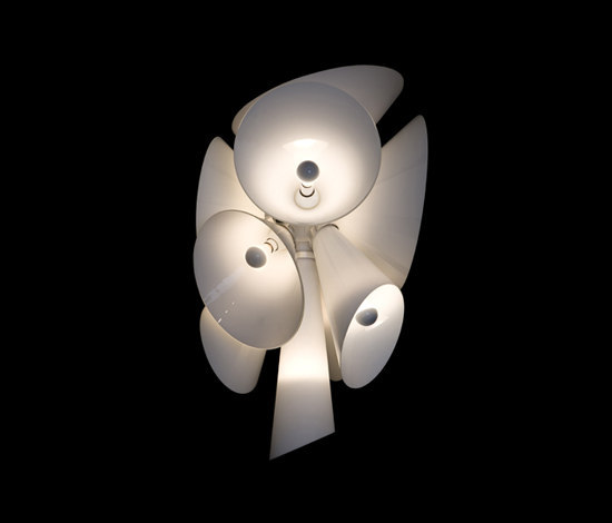 NEBULA FLOS