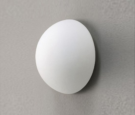 Daisy ZERO