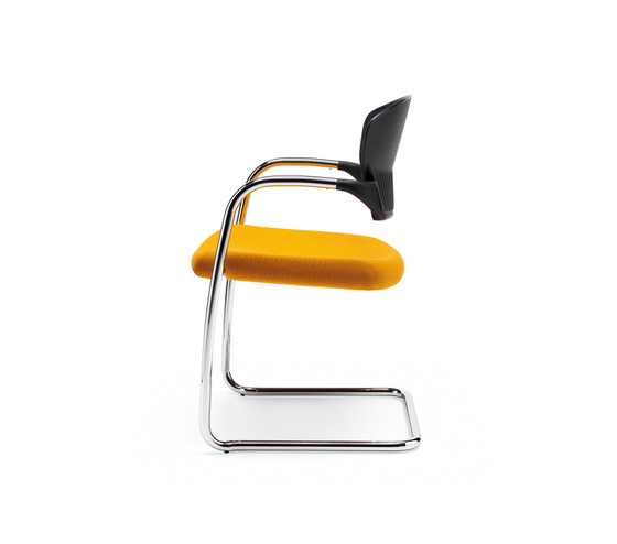 Cameo Estel Office
