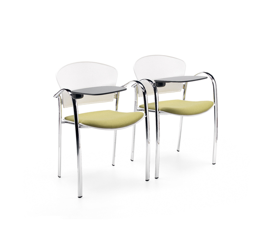 Cameo Estel Office