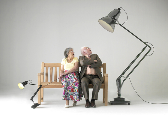 Giant 1227 Anglepoise Ltd