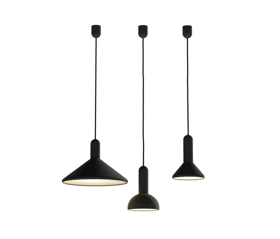 Torch Light Established&Sons