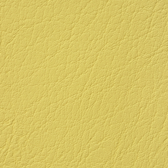 Mercure PU leather BUVETEX INT.