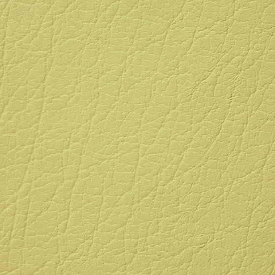 Mercure PU leather BUVETEX INT.