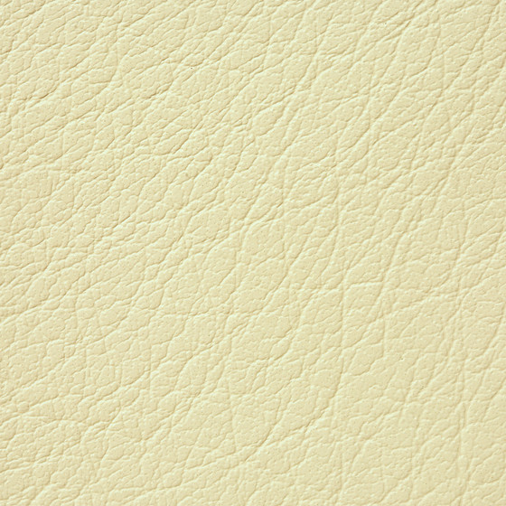 Mercure PU leather BUVETEX INT.