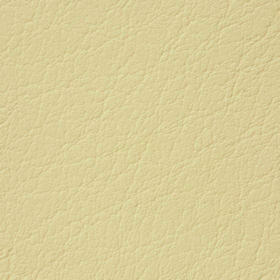 Mercure PU leather BUVETEX INT.