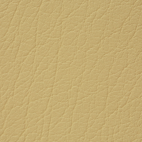 Mercure PU leather BUVETEX INT.